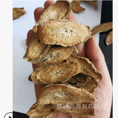 黃金牛蒡茶大選片顏色好金黃色產(chǎn)地大貨銷售牛蒡