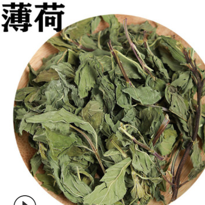 批發供應花草茶薄荷葉茶薄荷葉顆粒茶OEM貼牌加工中藥材批發