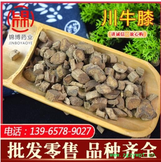 四川產(chǎn)地川牛膝 拐牛膝 肉牛膝片散裝批發(fā) 各種中藥材供應接大貨