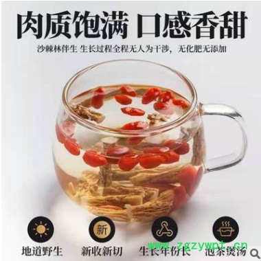 【特級大條黨參】甘肅岷縣農(nóng)家大黨叁配當(dāng)歸黃芪500g100g批發(fā)代發(fā)