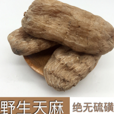 長(zhǎng)白山野生天麻 無硫紅天麻 個(gè)大 肉飽滿 一個(gè)平均35克