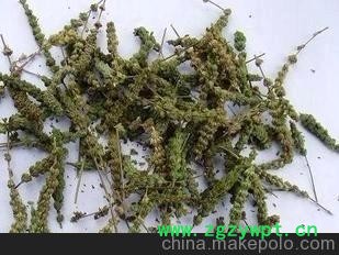 批發供應中藥材大貨荊芥穗/荊芥