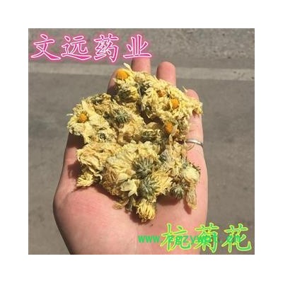 杭菊花 杭白菊  杭菊  無面 散開 產地 浙江省杭州市市轄區