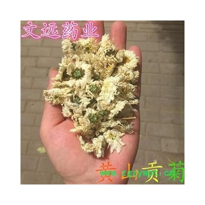 貢菊 一級 選裝 產地 安徽省黃山市市轄區