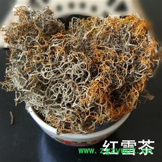 紅雪茶 金絲刷 金絲茶 金刷把 紅血茶 石蕊