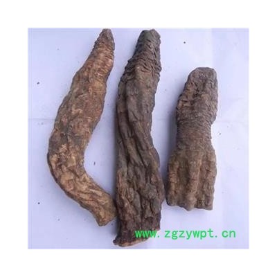 芝春堂 中藥材批發(fā)零售 肉松蓉 肉蓯蓉 硬質(zhì)大蕓統(tǒng)個統(tǒng)片 軟質(zhì)大蕓統(tǒng)個統(tǒng)片 選貨 支持驗貨