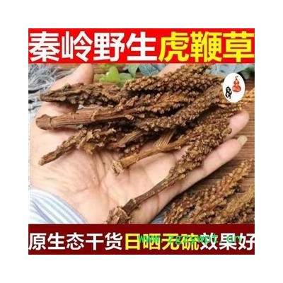 虎鞭草 子孫草 回春草 頂天柱 泡酒500g