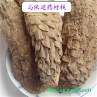 肉蓯蓉 大選裝 硬大蕓個(gè) 純干 產(chǎn)地 新疆維吾爾自治區(qū)