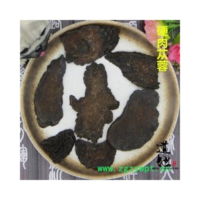 肉蓯蓉 硬肉蓯蓉 產地 西藏自治區 精品中藥材 品種齊全