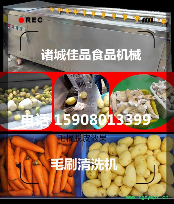 中藥材清洗機(jī) 瓜蔞清洗機(jī) 根莖藥根快速清洗機(jī) 佳品機(jī)械行業(yè)**