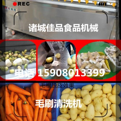 中藥材清洗機(jī) 瓜蔞清洗機(jī) 根莖藥根快速清洗機(jī) 佳品機(jī)械行業(yè)**