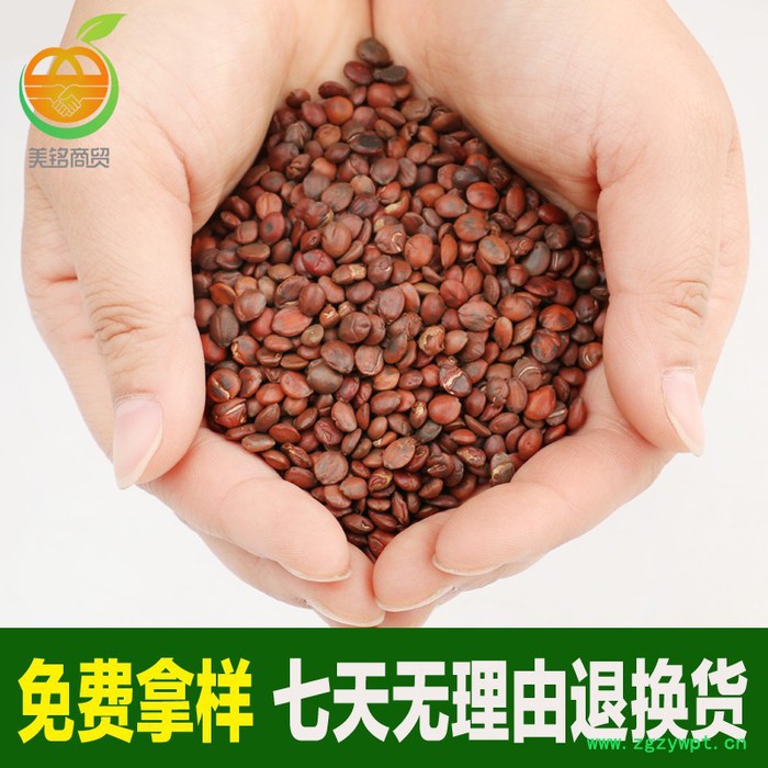 美銘中藥材花草茶批發 河北**國產酸棗仁 保證  量大優惠