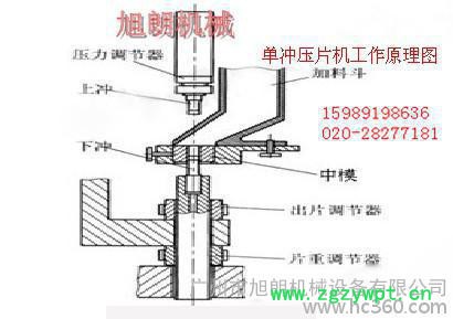 快速壓片機、新款中藥多沖壓片機