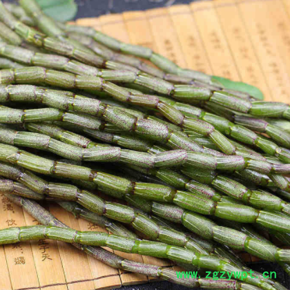 新鮮鐵皮石斛鮮條 食用仿野生鐵皮楓斗三年生石斛500g