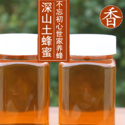 【農(nóng)家自產(chǎn)】新鮮土蜂蜜500g成熟全封蓋荊條蜂巢蜜山花蜂蜜土特產(chǎn)