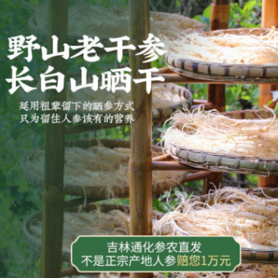 【8-19年長白山野山人參】野山參白參生曬參長白山人參禮盒