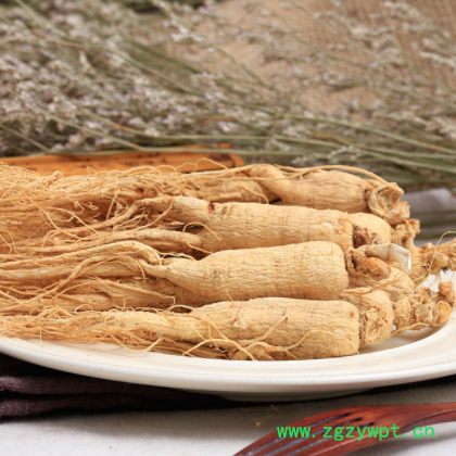 東北特產(chǎn)生曬參 單支10g左右原皮白參長白山人參 干參現(xiàn)貨批發(fā)