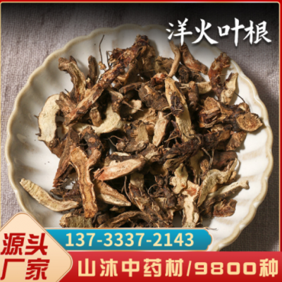 仙靈脾根 淫羊藿根 羊藿葉根 洋火葉根 洋火葉500克 中藥材批發(fā)